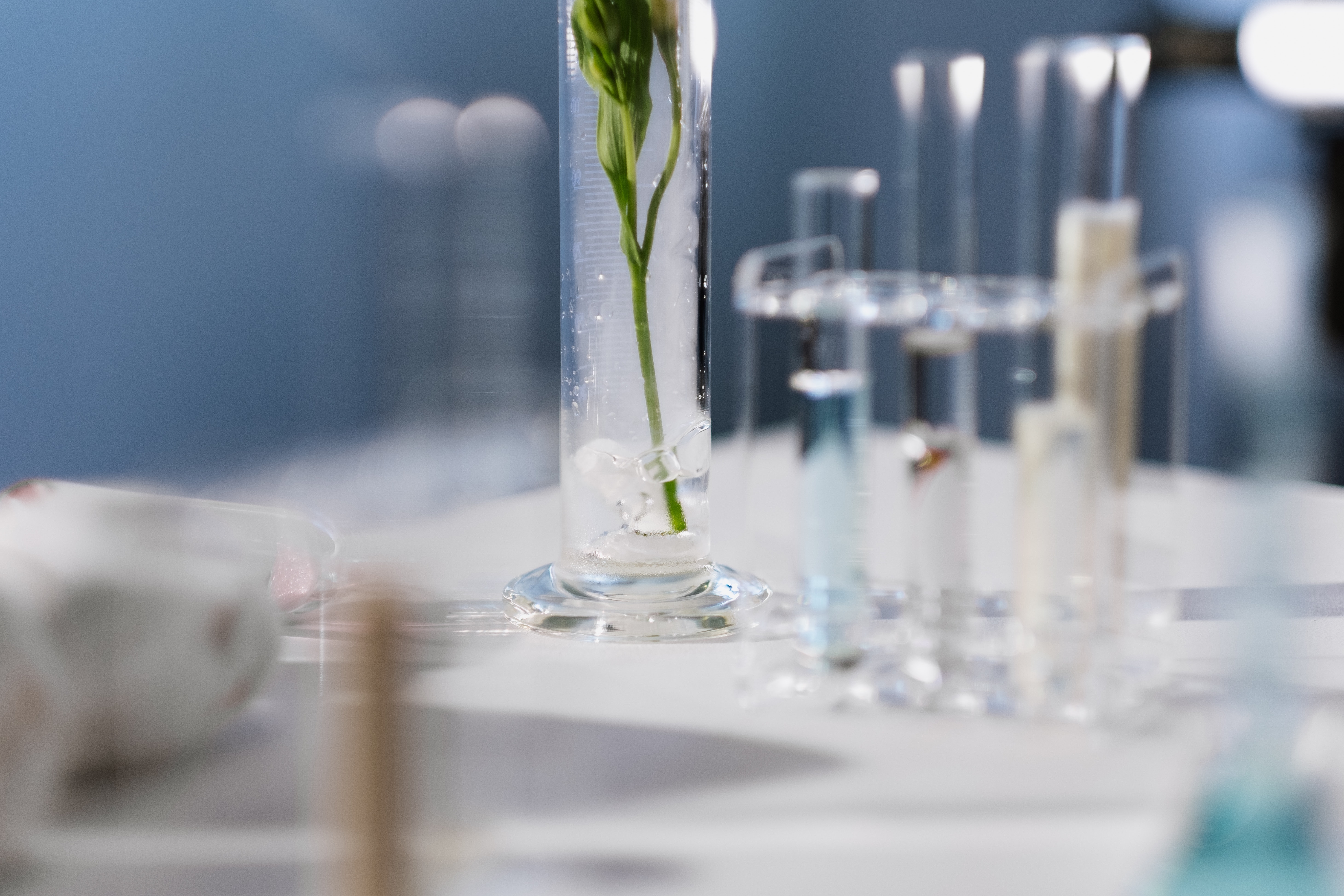 Bulletin: Pharmaceuticals & APAC